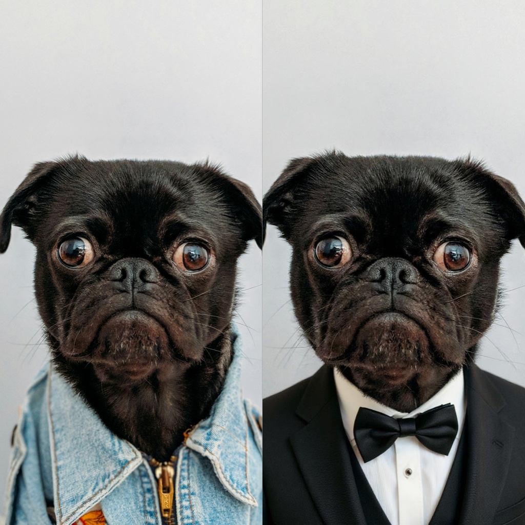 Chat To Edit - Advanced Image Enhancement